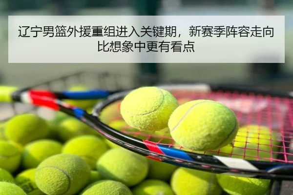 辽宁男篮外援重组进入关键期，新赛季阵容走向比想象中更有看点